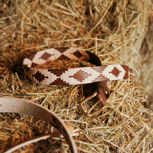 {{ Leather_belt }} - {{ Gaucho_House }} {{ Accesory_Belts }}