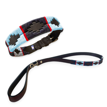Cielo Dog Collar And Lead Bundle