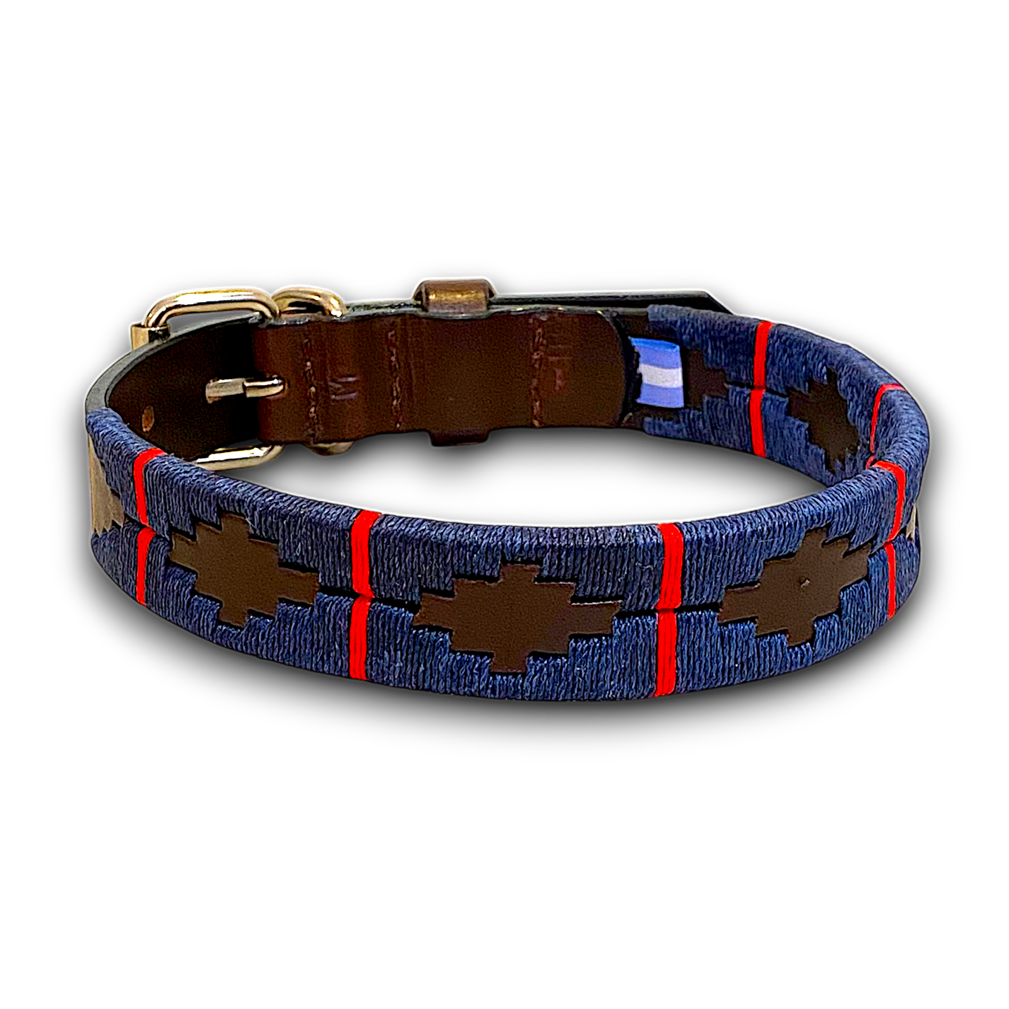 Oceano Dog Collar