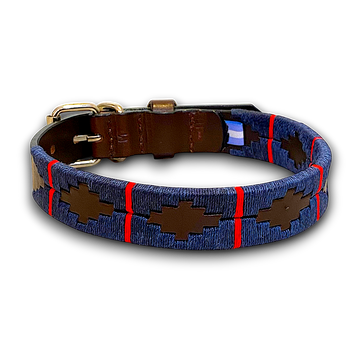 Oceano Dog Collar