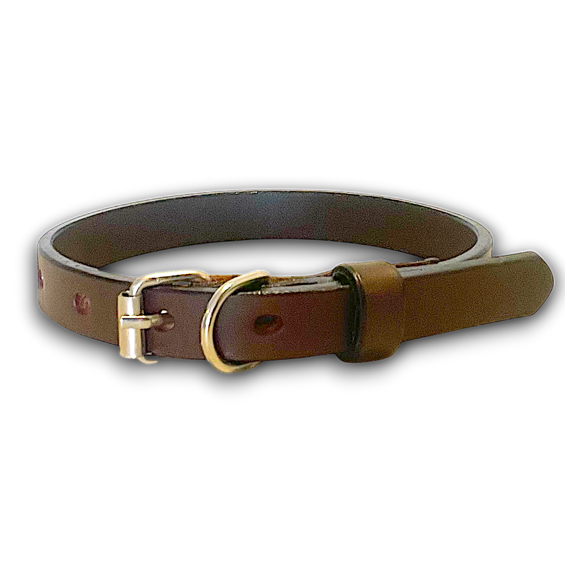 Forastero Dog Collar