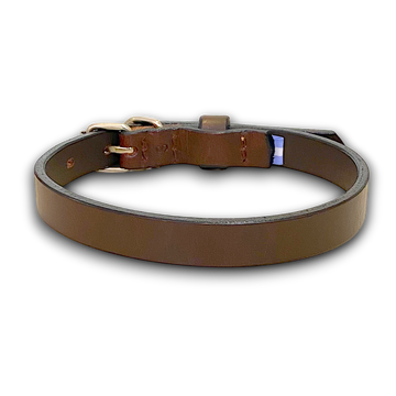 Forastero Dog Collar