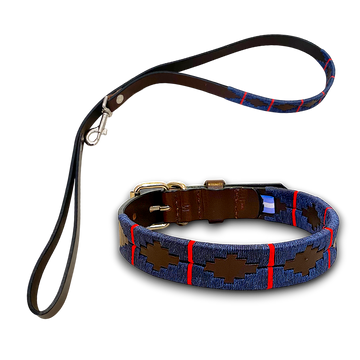 Oceano Dog Collar And Lead Bundle